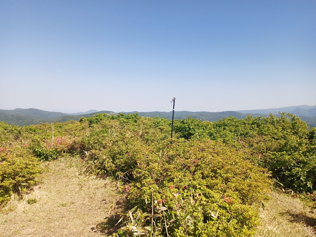 LINE_ALBUM_futatumori 2024.6._240613_194