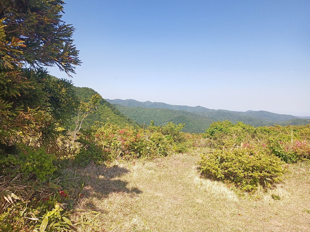 LINE_ALBUM_futatumori 2024.6._240613_195