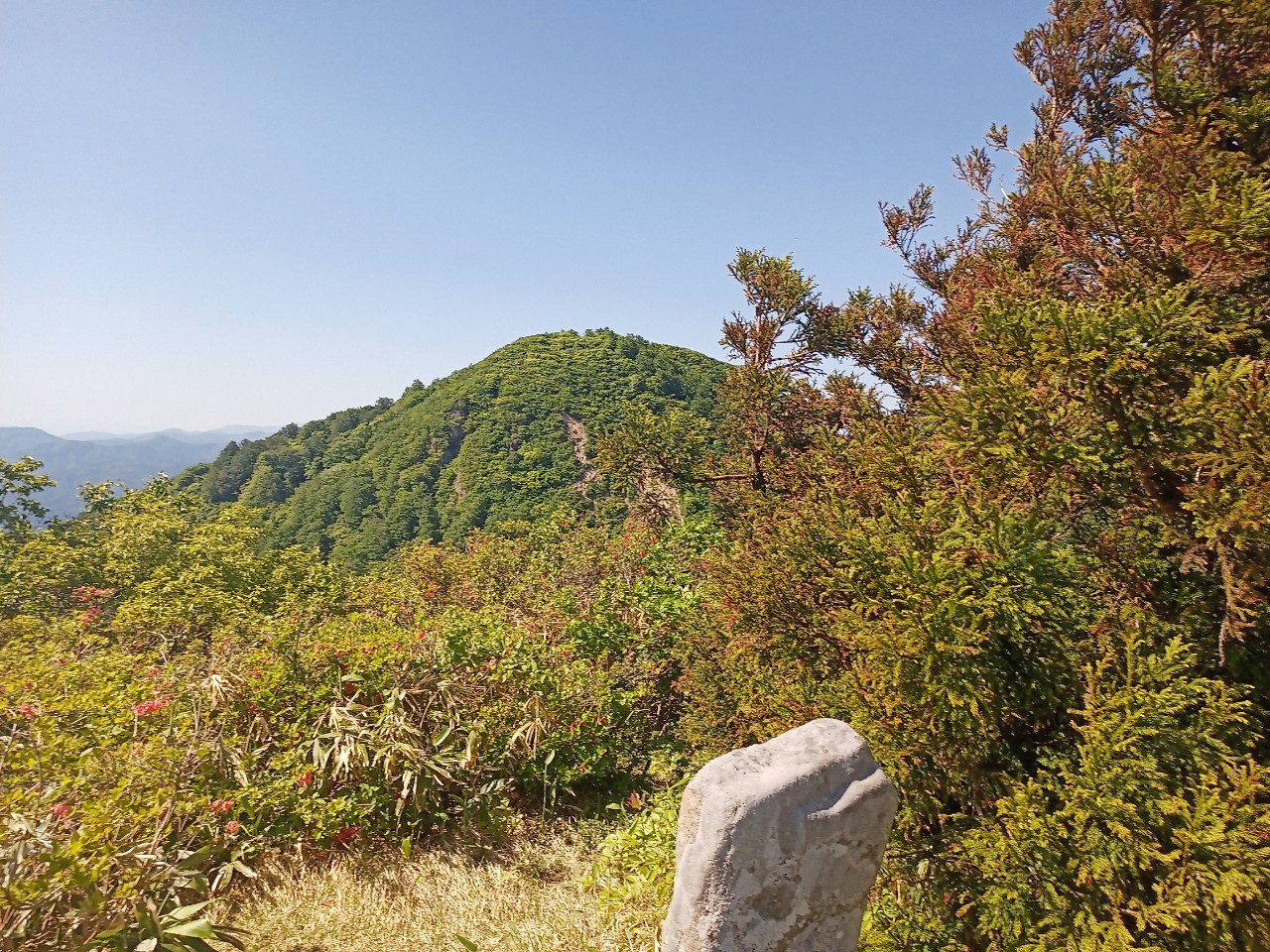 LINE_ALBUM_futatumori 2024.6._240613_196