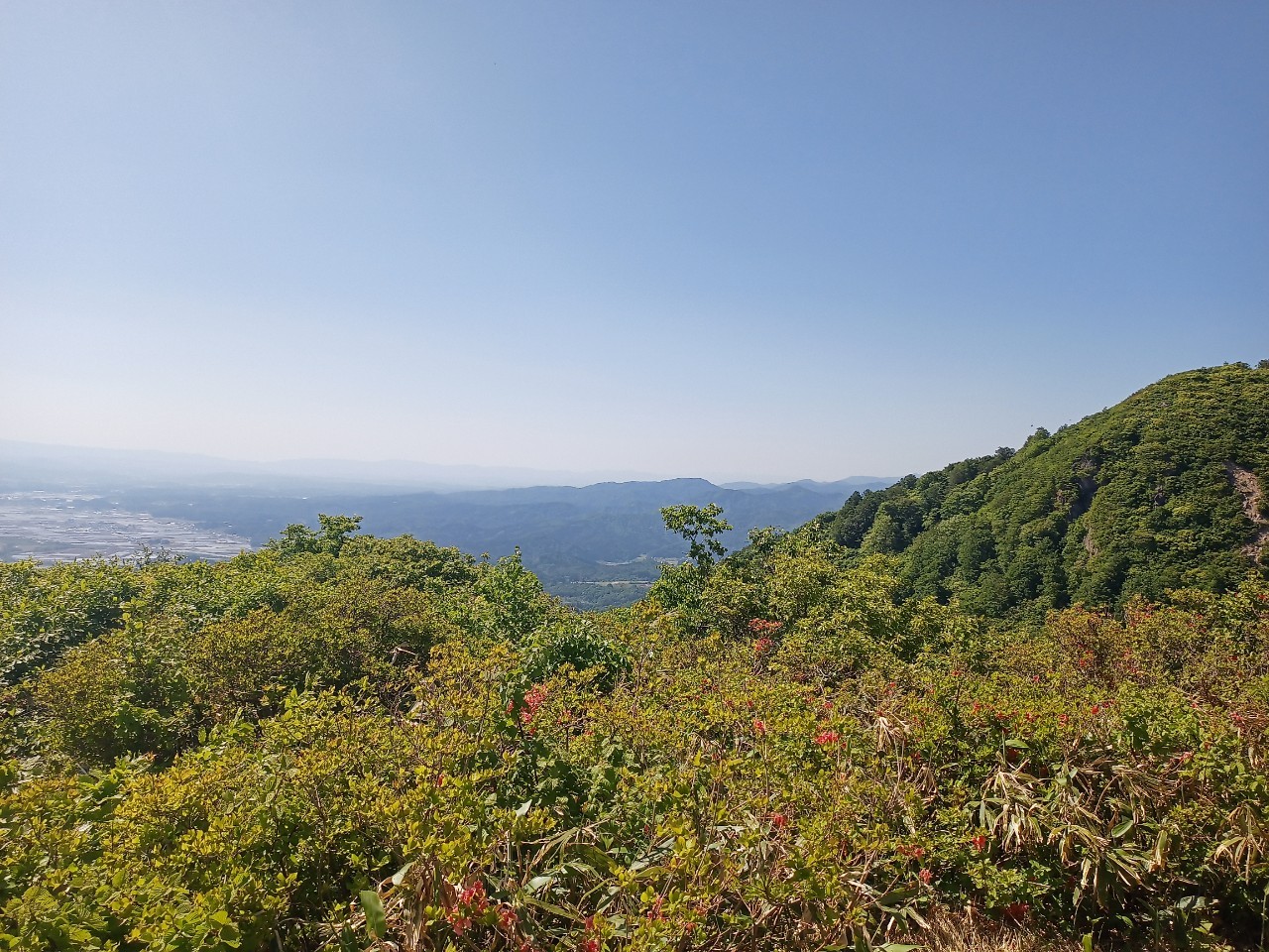 LINE_ALBUM_futatumori 2024.6._240613_197