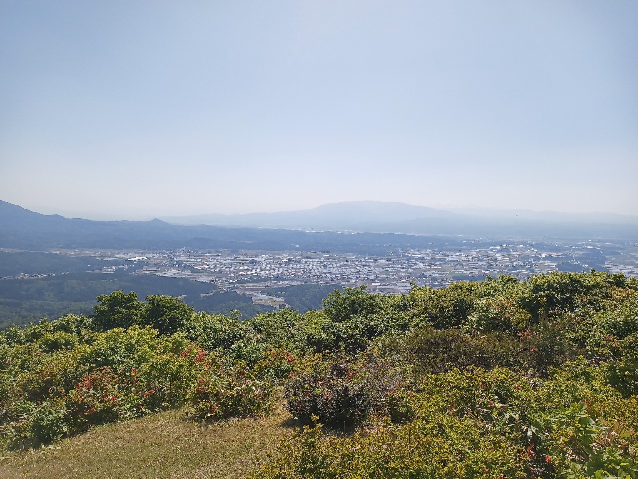 LINE_ALBUM_futatumori 2024.6._240613_198