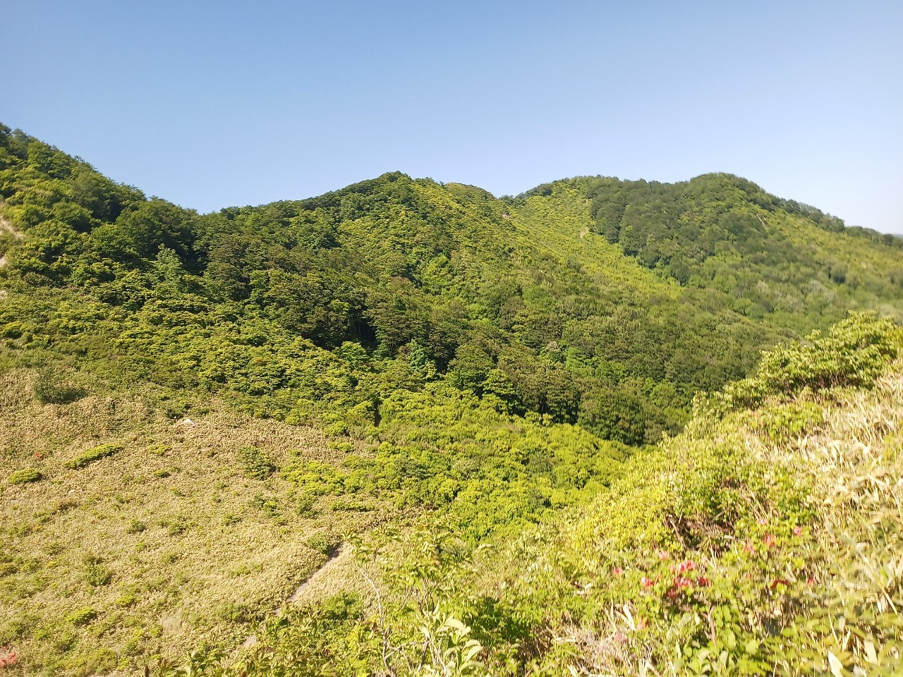 LINE_ALBUM_futatumori 2024.6._240613_213