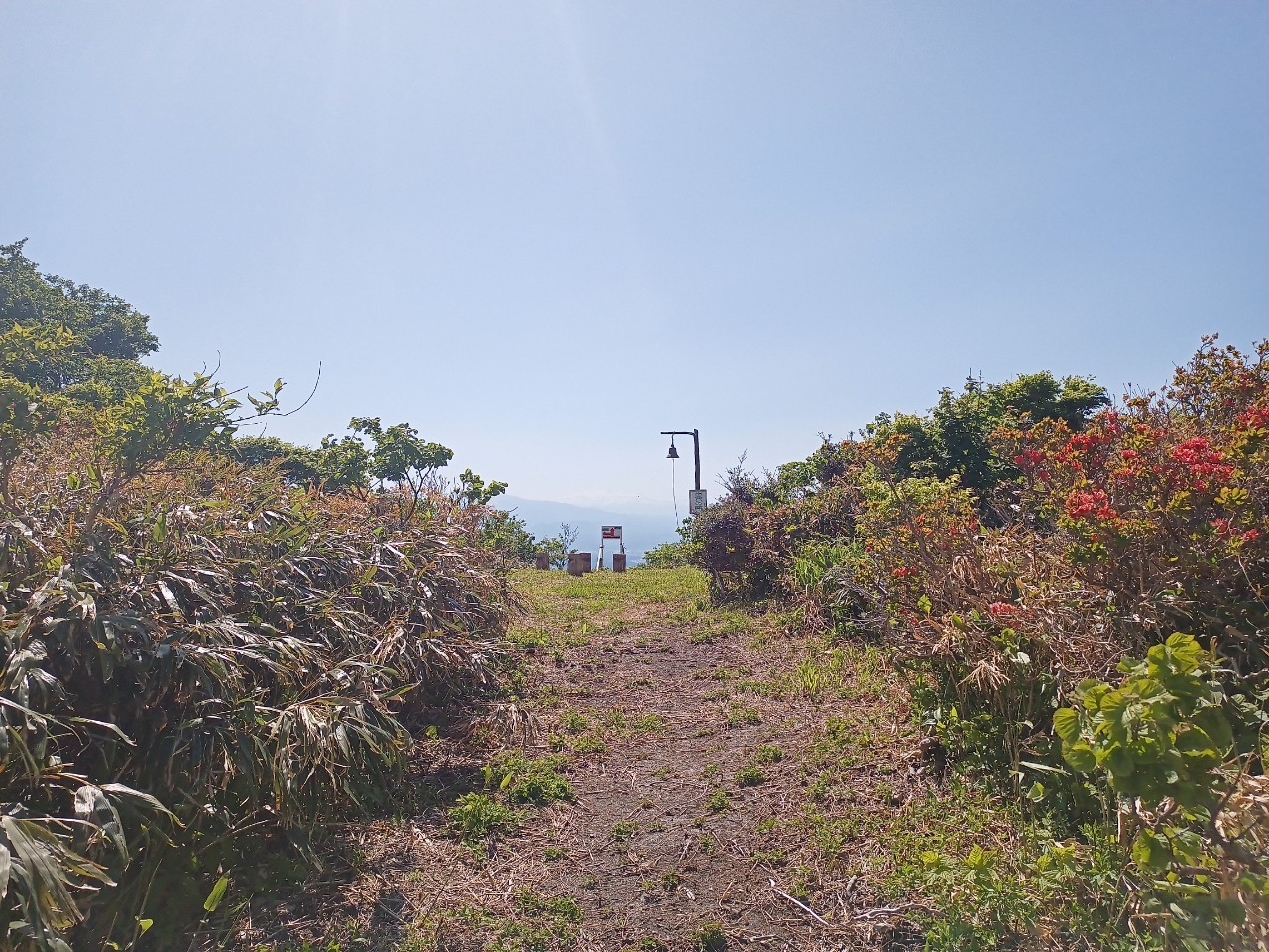 LINE_ALBUM_futatumori 2024.6._240613_222