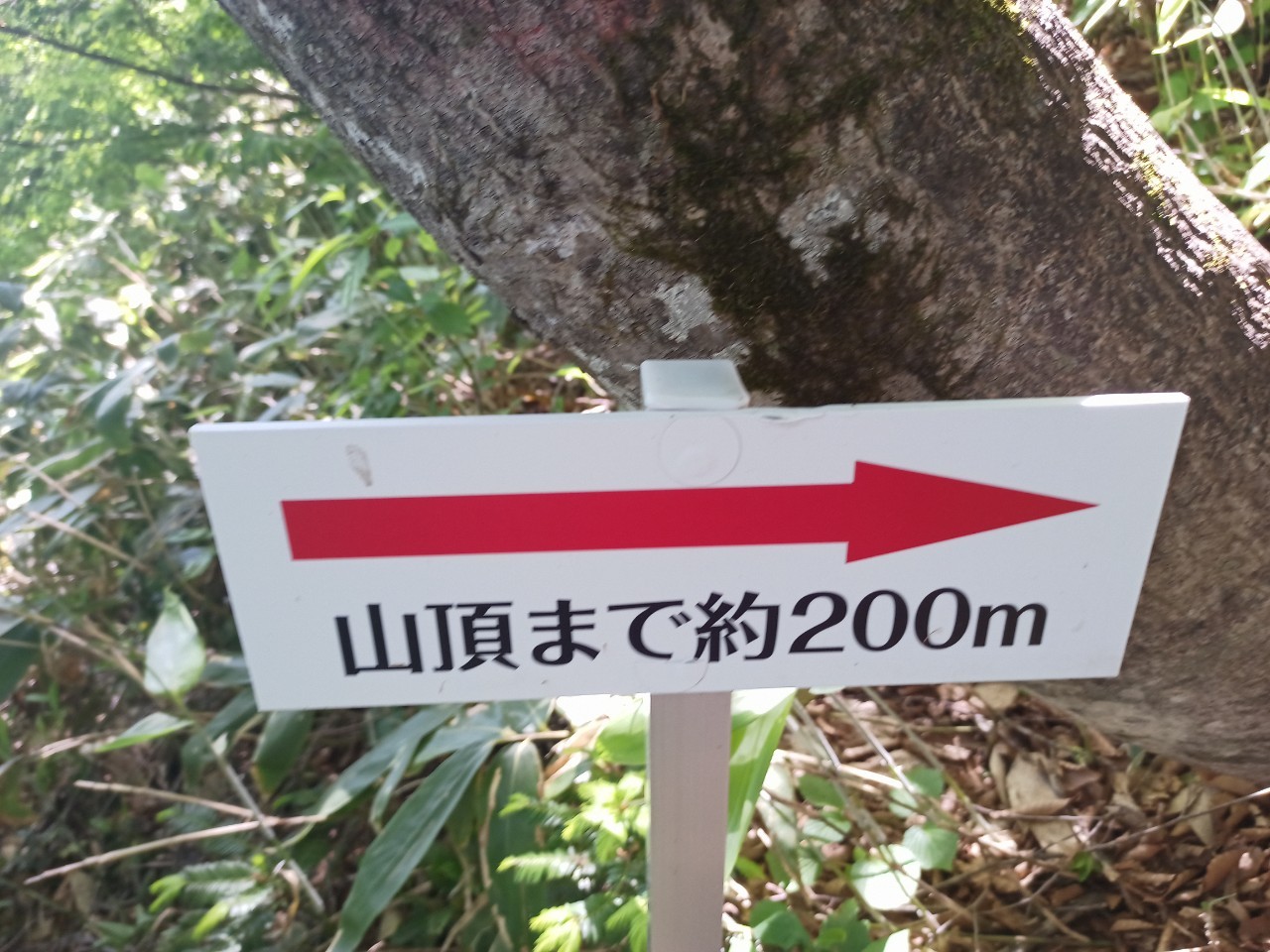 LINE_ALBUM_futatumori 2024.6._240613_224