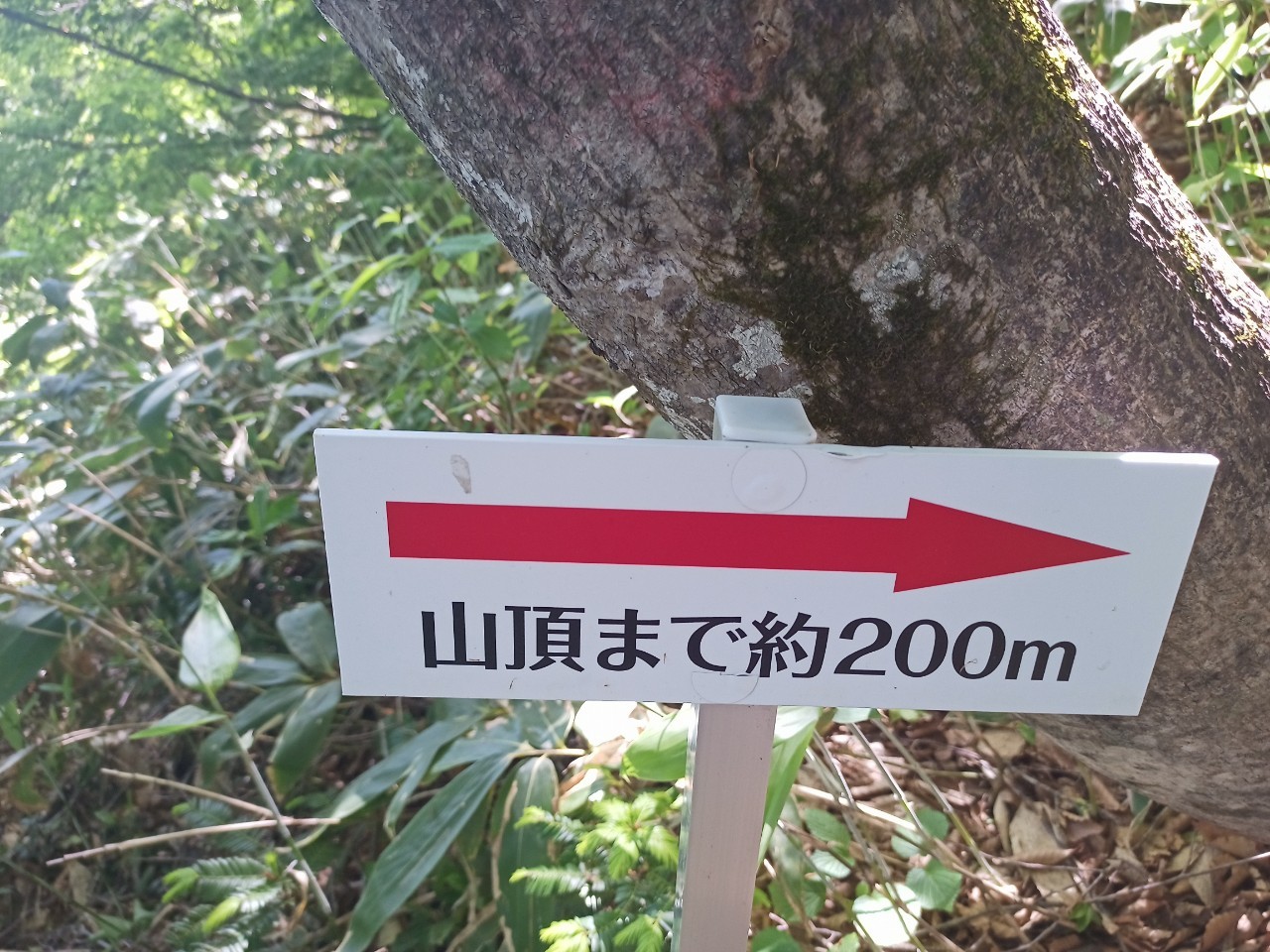 LINE_ALBUM_futatumori 2024.6._240613_225