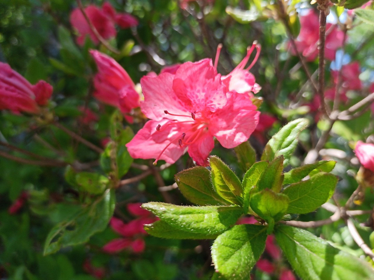 LINE_ALBUM_futatumori 2024.6._240613_232