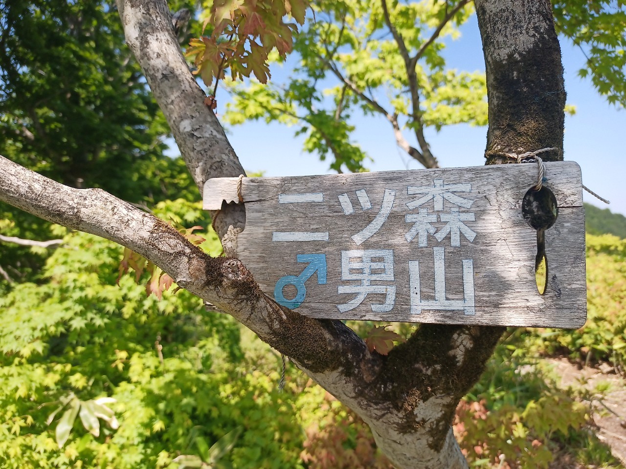 LINE_ALBUM_futatumori 2024.6._240613_237