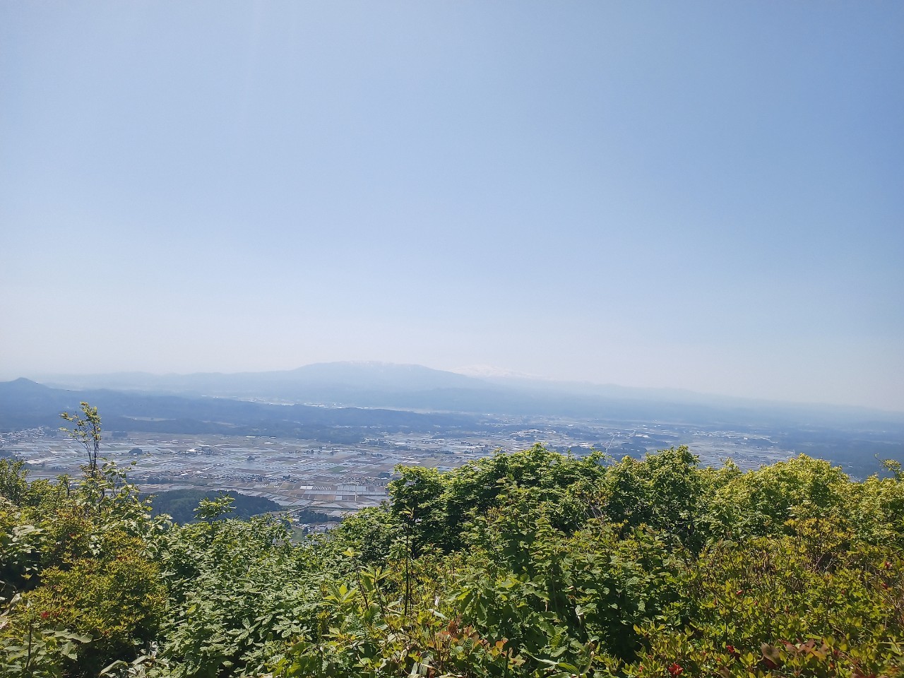 LINE_ALBUM_futatumori 2024.6._240613_241