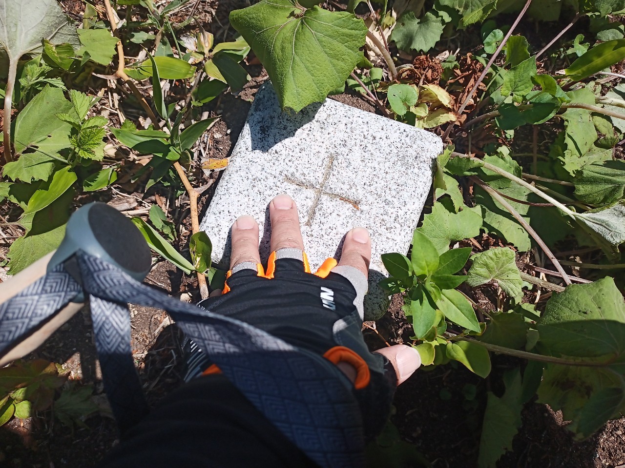 LINE_ALBUM_futatumori 2024.6._240613_254