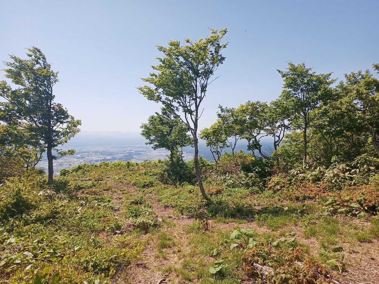 LINE_ALBUM_futatumori 2024.6._240613_262