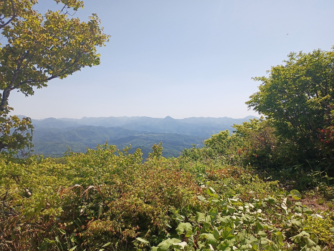 LINE_ALBUM_futatumori 2024.6._240613_264