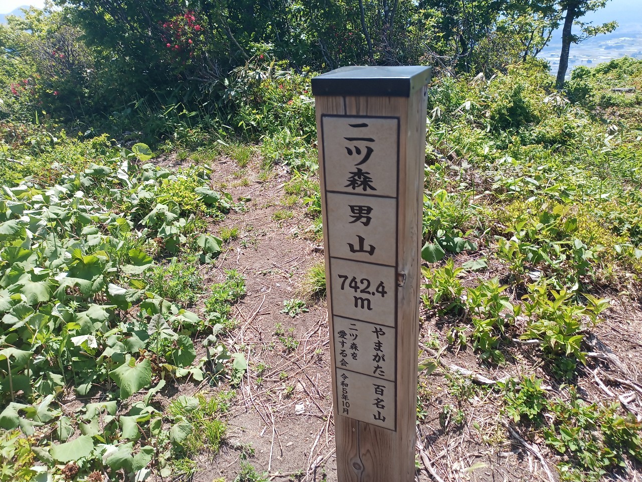 LINE_ALBUM_futatumori 2024.6._240613_265