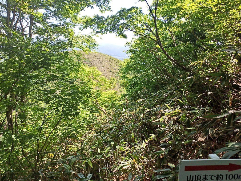 LINE_ALBUM_futatumori 2024.6._240613_281