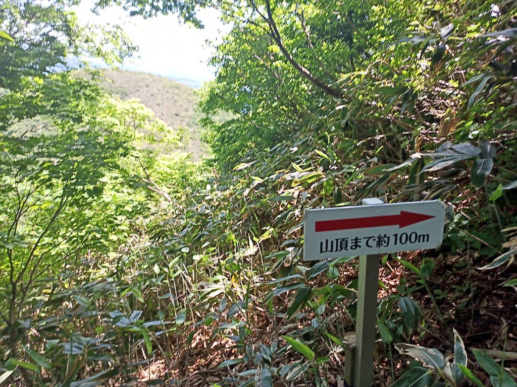 LINE_ALBUM_futatumori 2024.6._240613_283