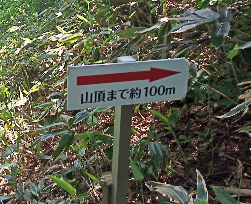 LINE_ALBUM_futatumori 2024.6._240613_284