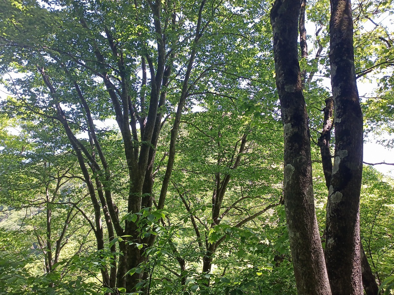 LINE_ALBUM_futatumori 2024.6._240613_302