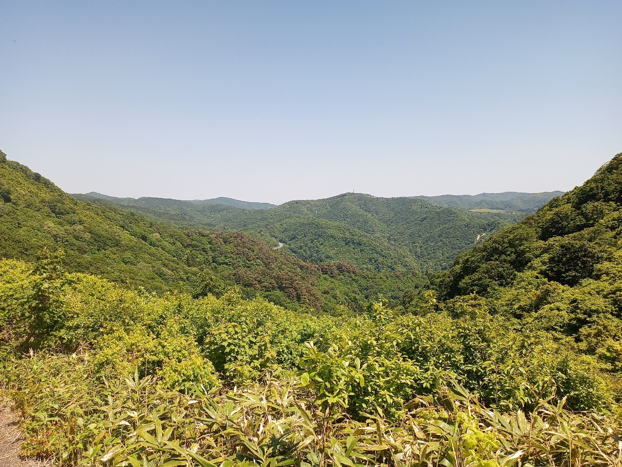 LINE_ALBUM_futatumori 2024.6._240613_312