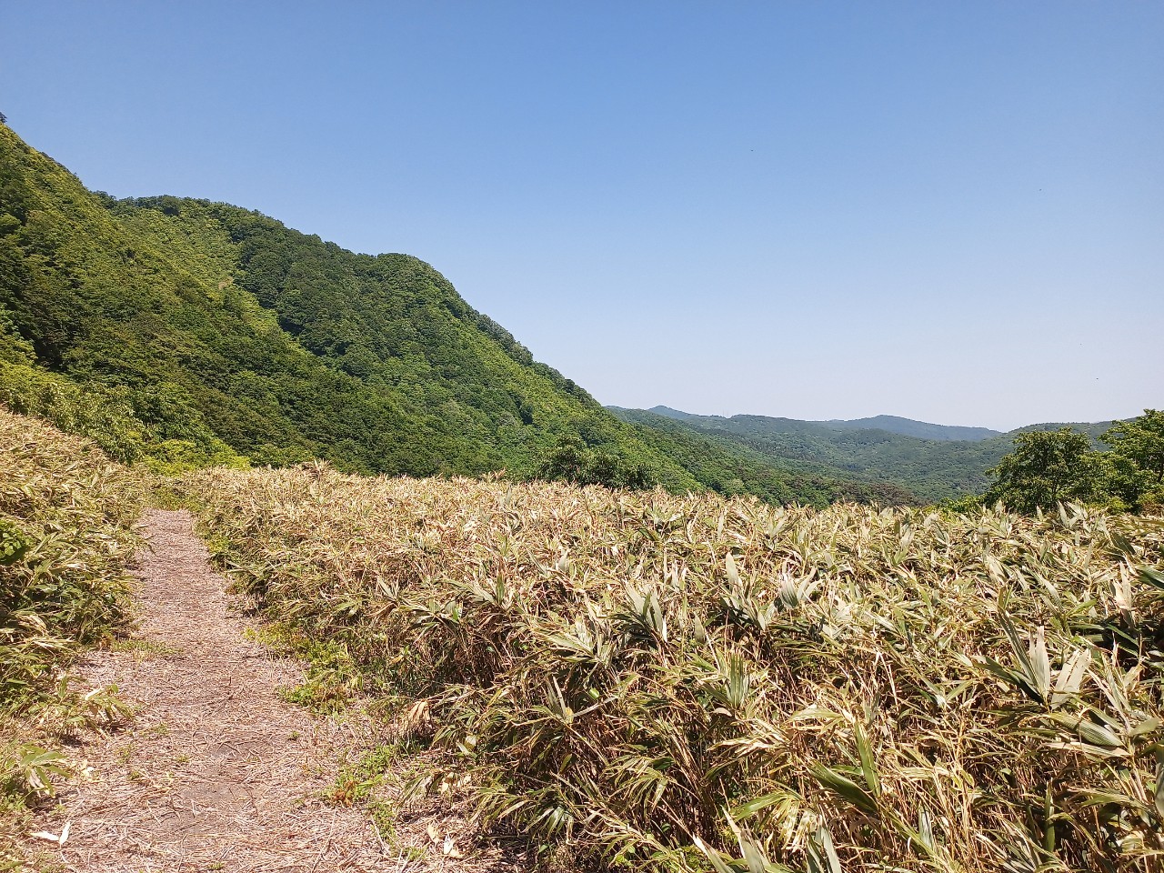 LINE_ALBUM_futatumori 2024.6._240613_315