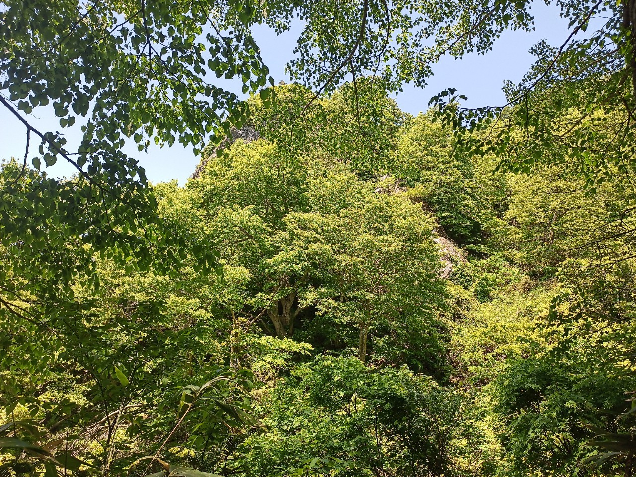 LINE_ALBUM_futatumori 2024.6._240613_331