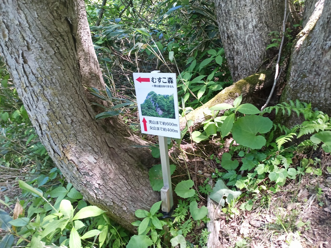 LINE_ALBUM_futatumori 2024.6._240613_333