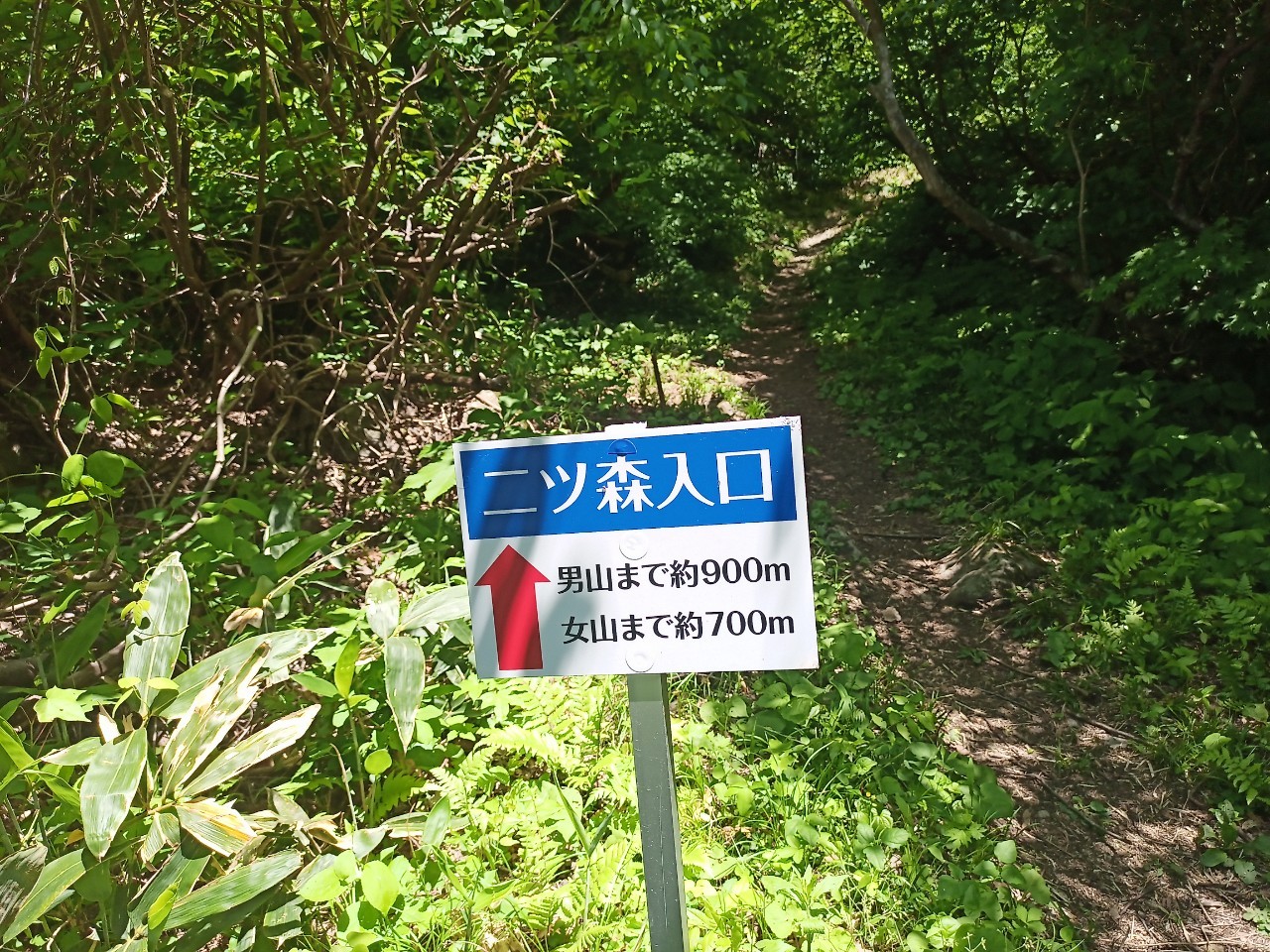 LINE_ALBUM_futatumori 2024.6._240613_346