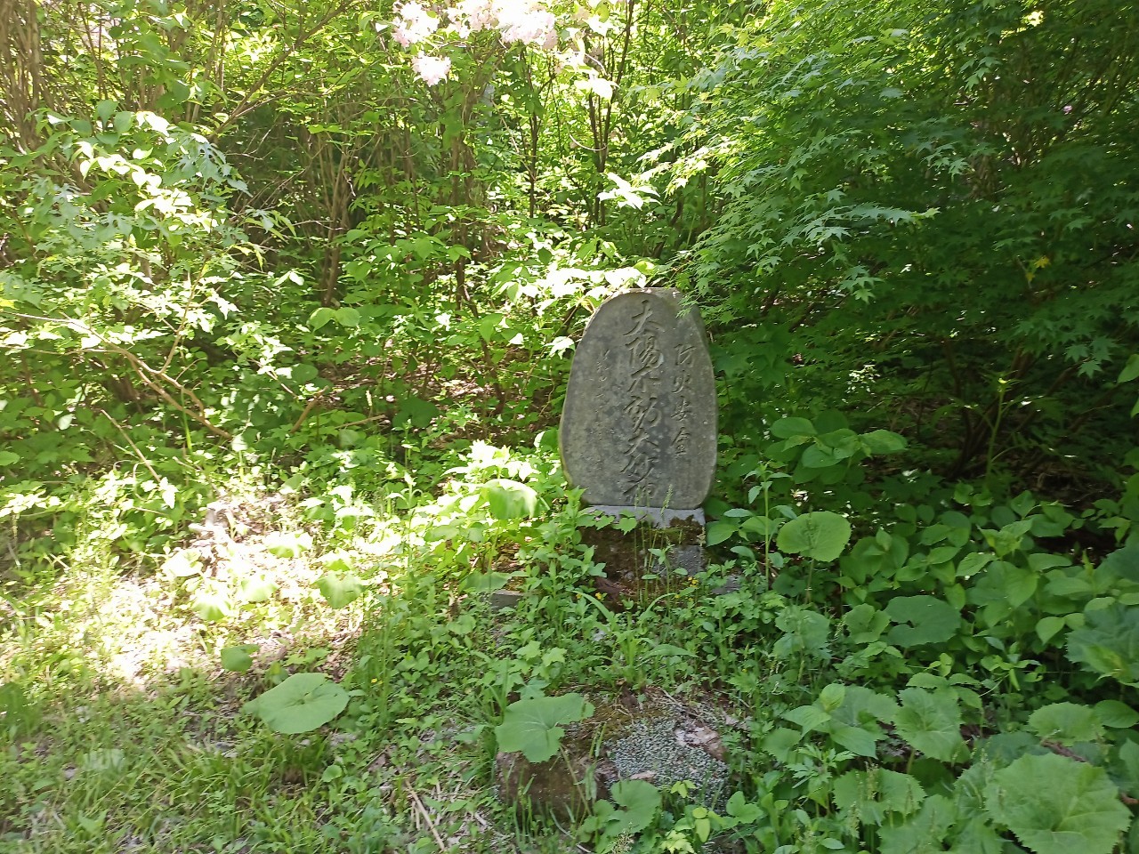 LINE_ALBUM_futatumori 2024.6._240613_349