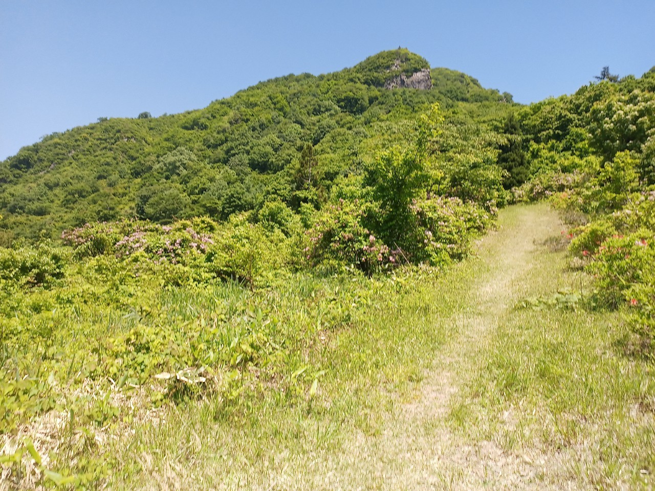 LINE_ALBUM_futatumori 2024.6._240613_350