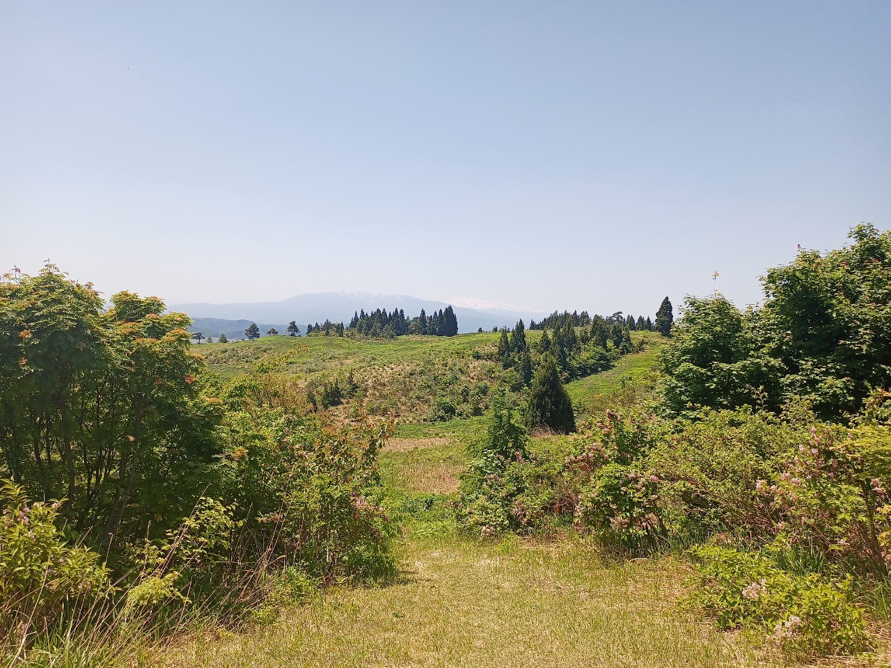 LINE_ALBUM_futatumori 2024.6._240613_353