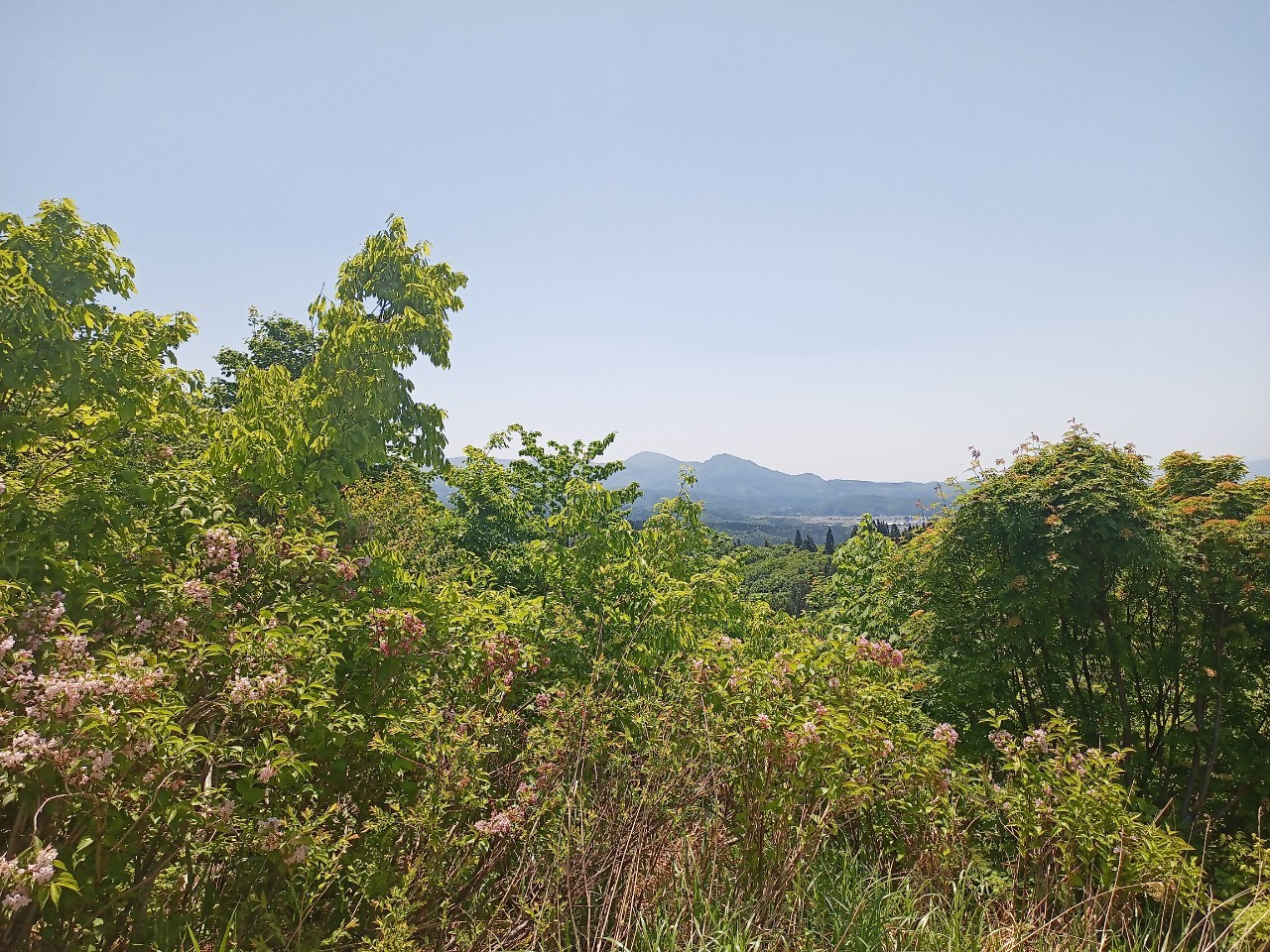 LINE_ALBUM_futatumori 2024.6._240613_354