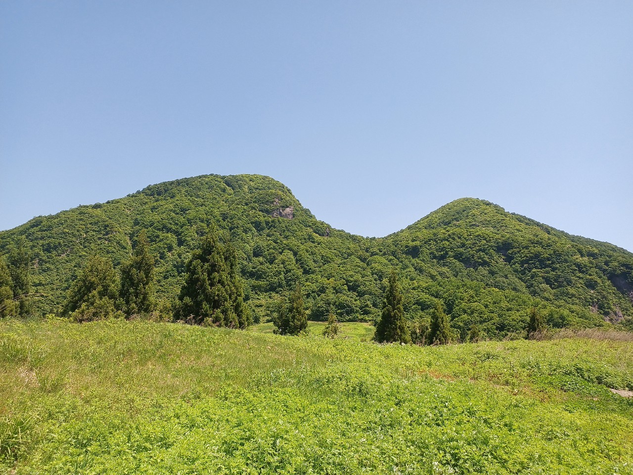 LINE_ALBUM_futatumori 2024.6._240613_389