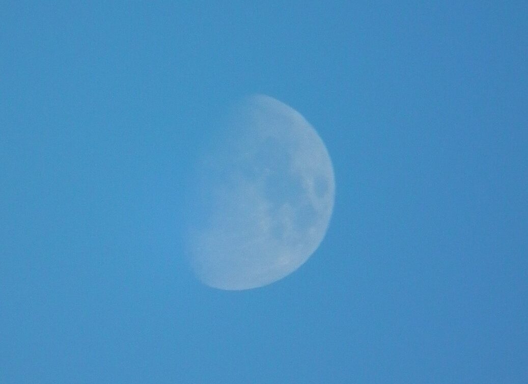 LINE_ALBUM_futatumori 2024.6._240613_54 (2)