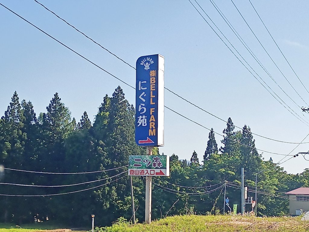 LINE_ALBUM_futatumori 2024.6._240613_99