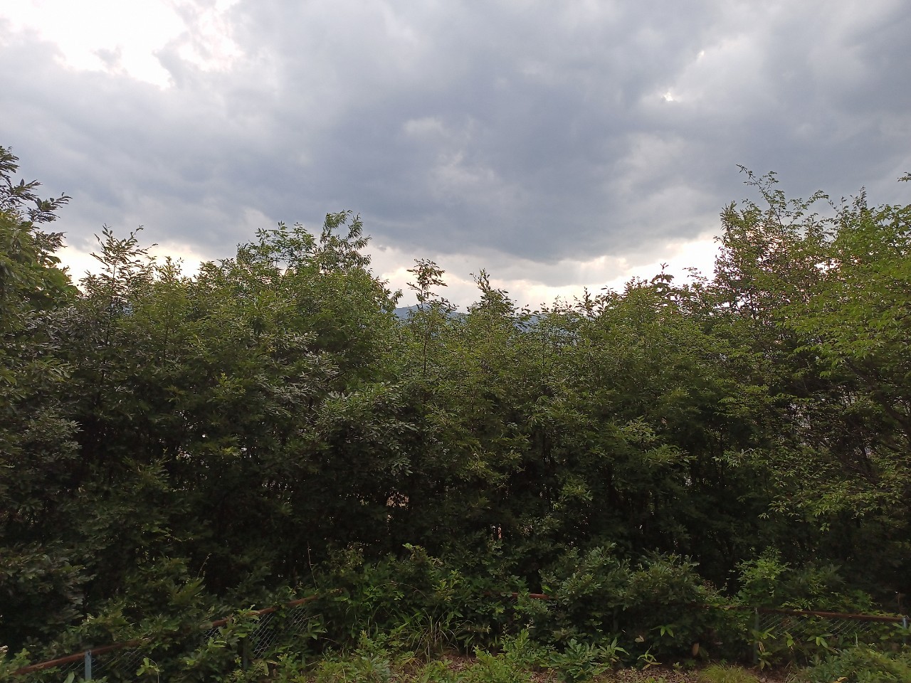 LINE_ALBUM_盃山2_240630_93