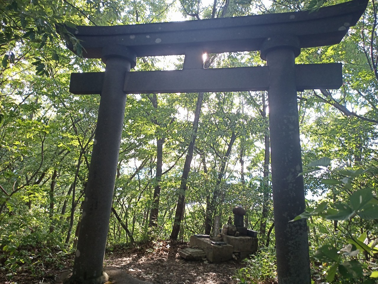 LINE_ALBUM_盃山_240630_142