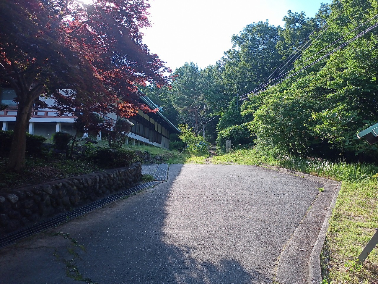 LINE_ALBUM_盃山_240630_219