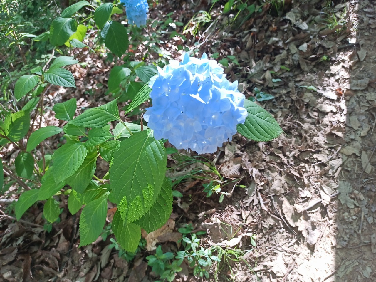 LINE_ALBUM_盃山_240630_202