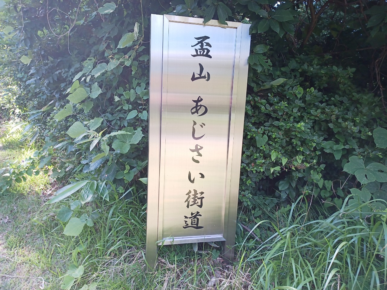 LINE_ALBUM_盃山_240630_215