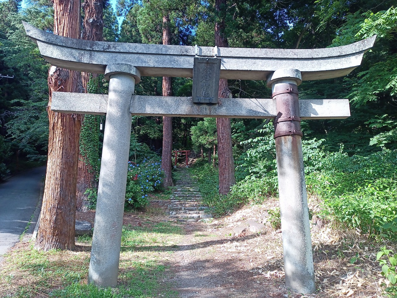 LINE_ALBUM_盃山_240630_274