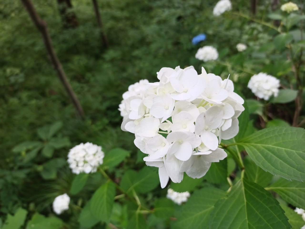 LINE_ALBUM_盃山2_240630_4