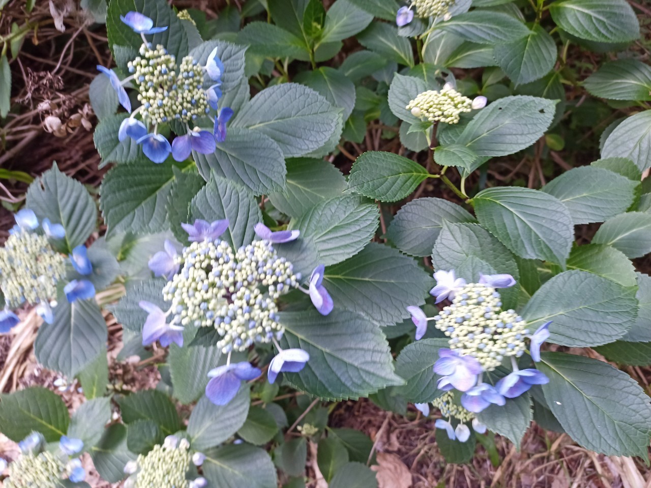 LINE_ALBUM_盃山_240630_249