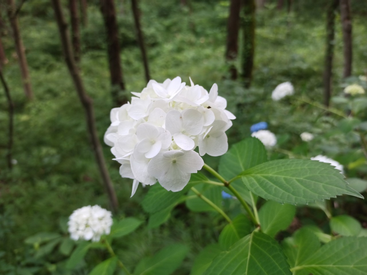 LINE_ALBUM_盃山2_240630_2