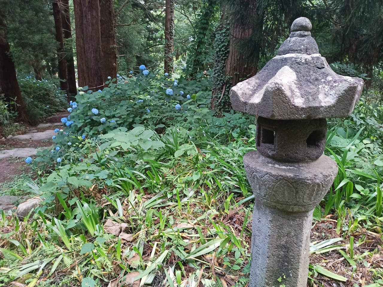 LINE_ALBUM_盃山2_240630_326