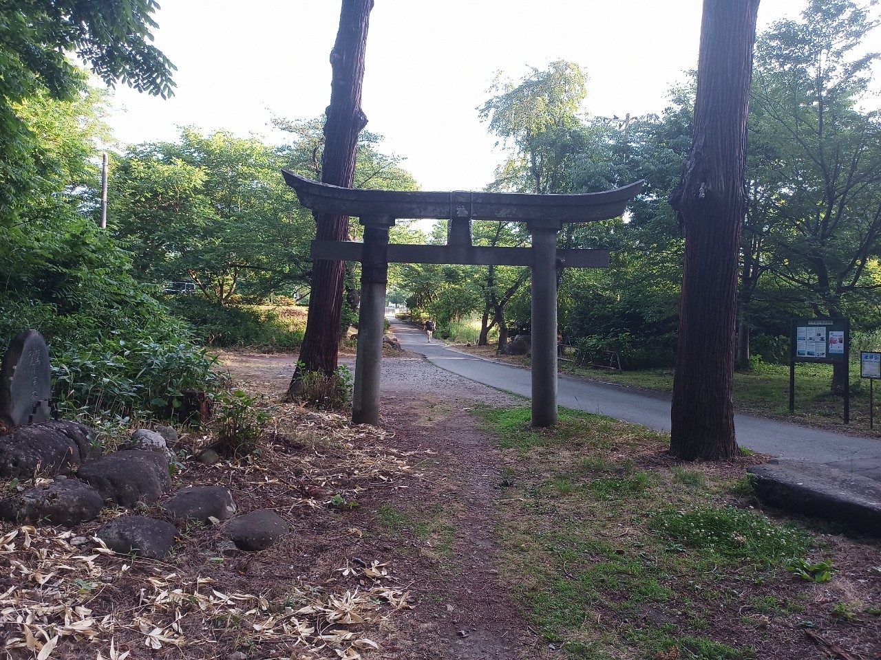 LINE_ALBUM_盃山_240630_11