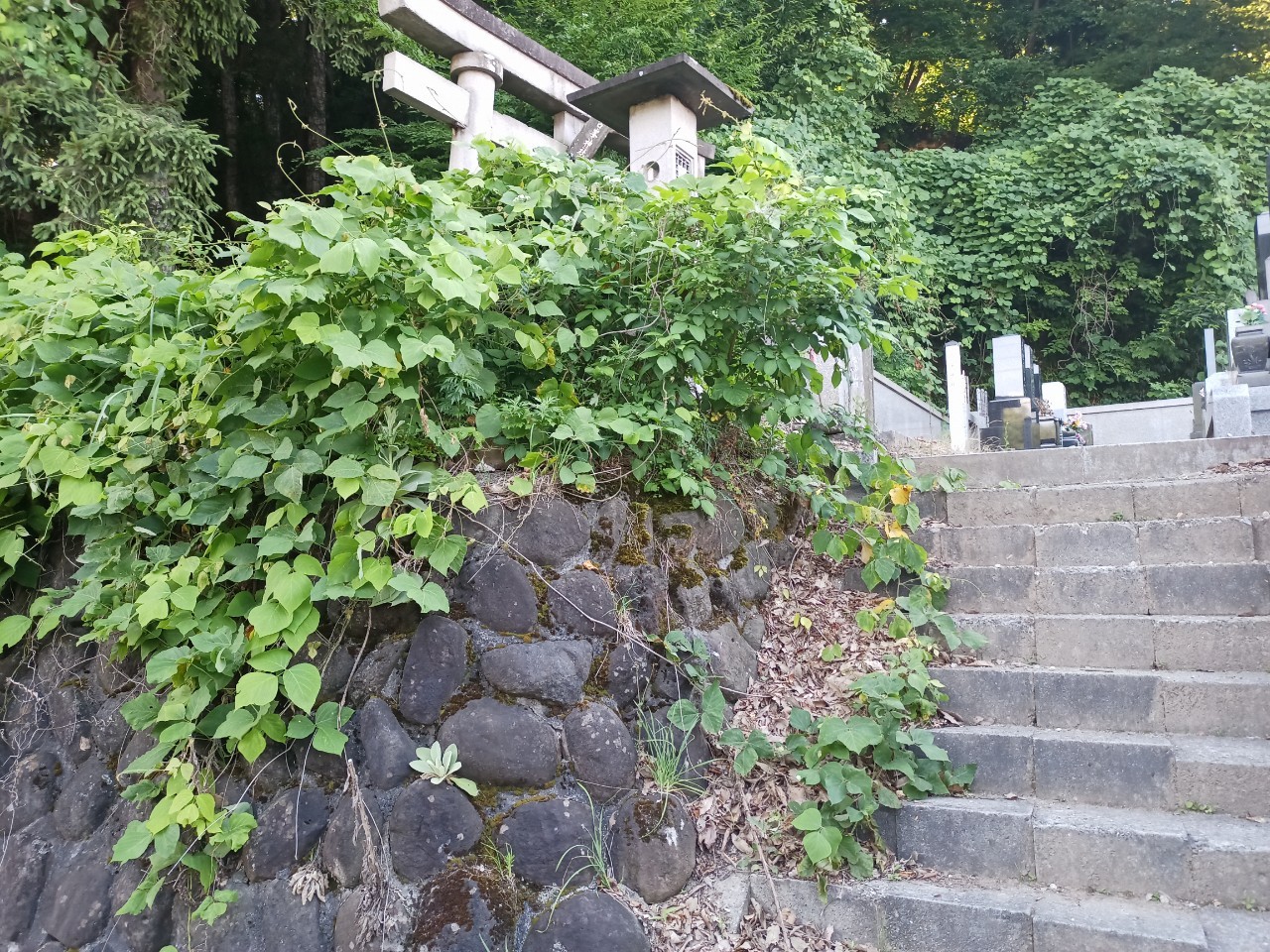 LINE_ALBUM_盃山_240630_86
