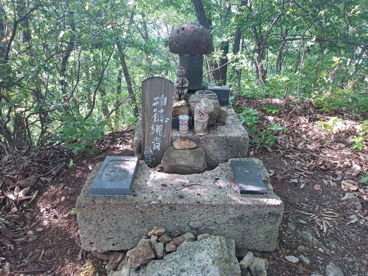 LINE_ALBUM_盃山_240630_140