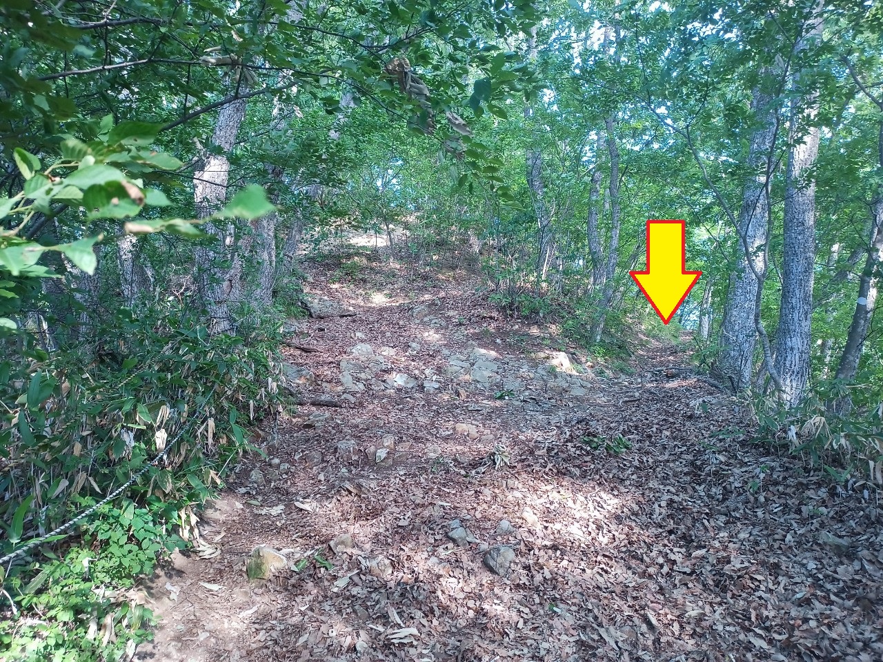 LINE_ALBUM_盃山_2406ｖ30_72