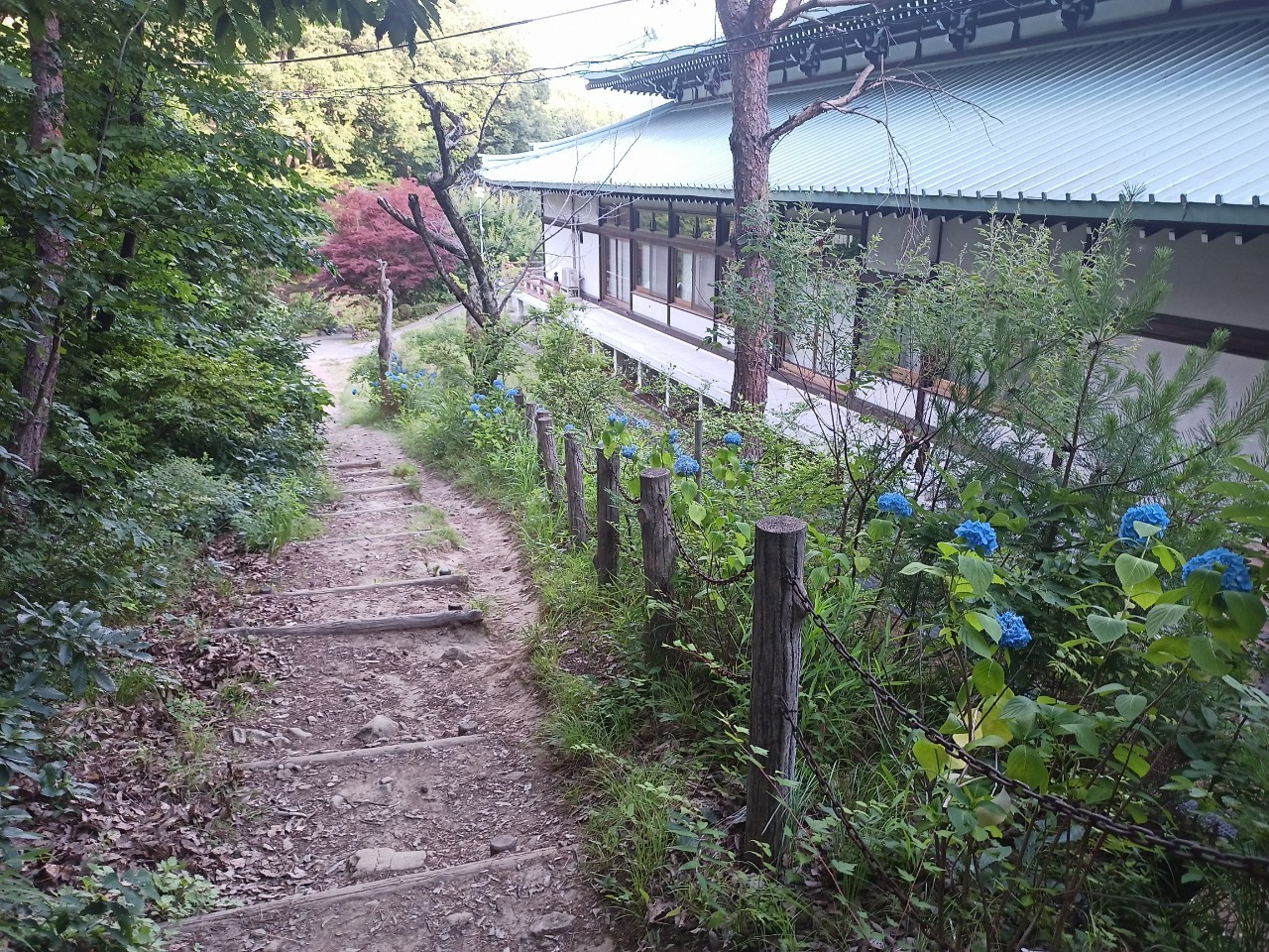 LINE_ALBUM_盃山_240630_44