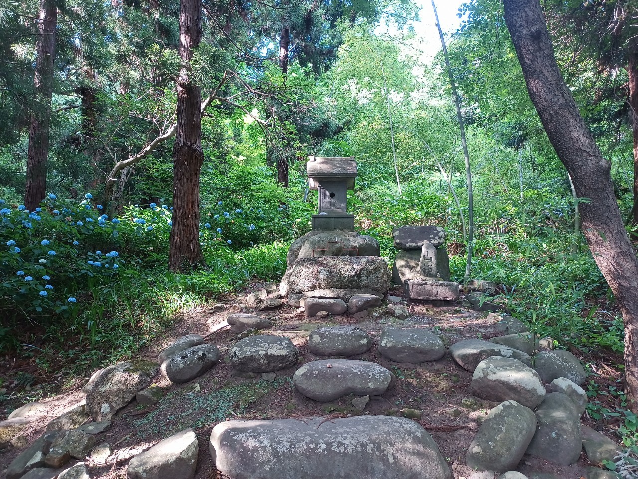 LINE_ALBUM_盃山_240630_263