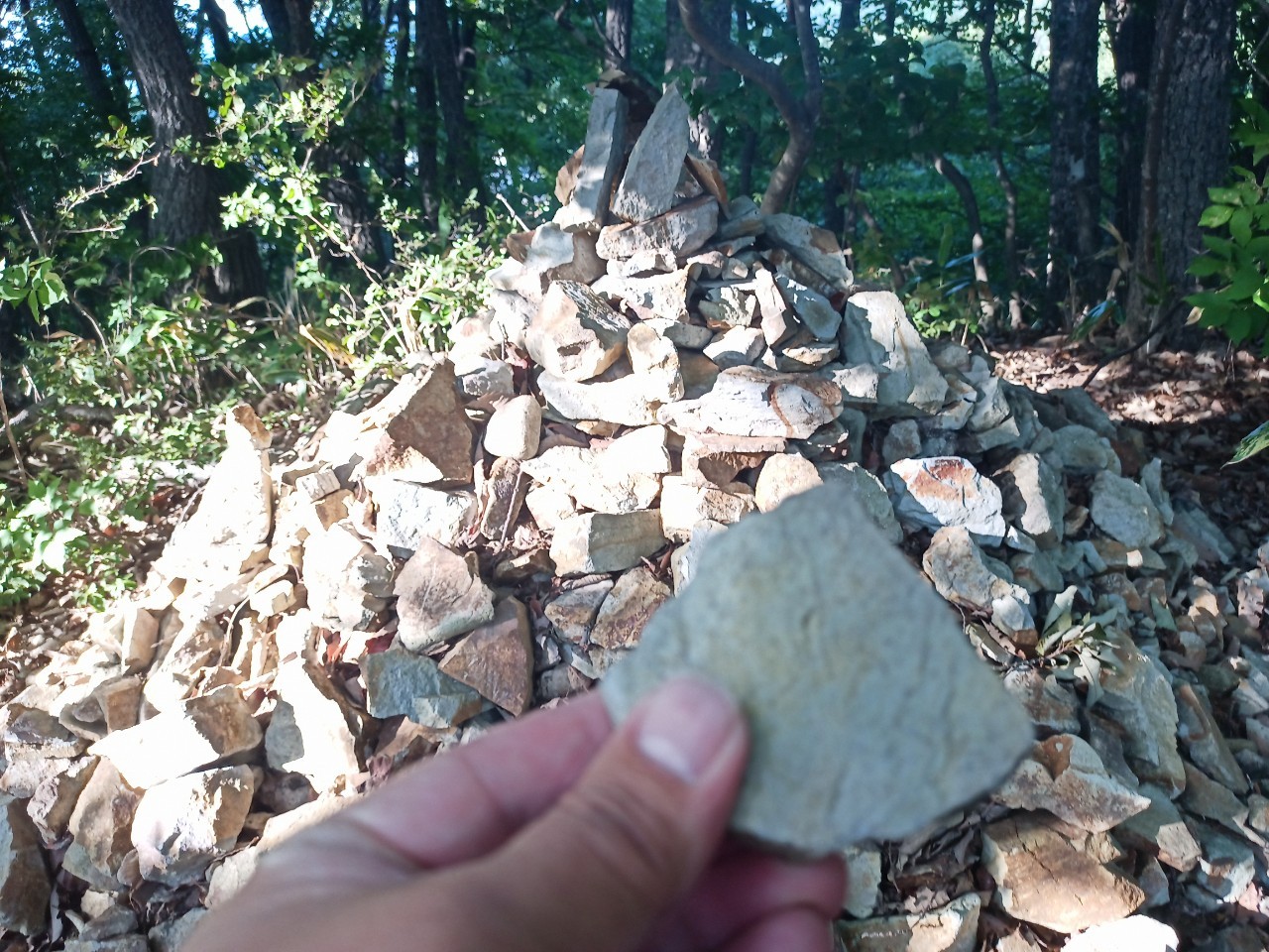 LINE_ALBUM_盃山_240630_19