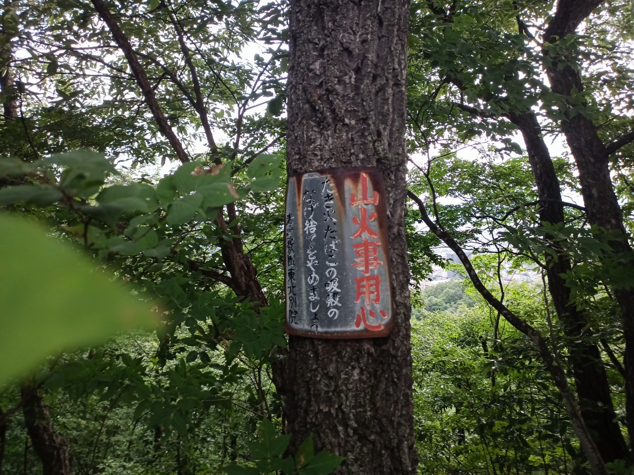 LINE_ALBUM_盃山2_240630_23